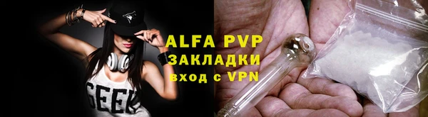 стафф Арсеньев