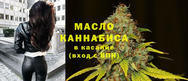индика Горнозаводск