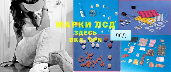 стафф Арсеньев