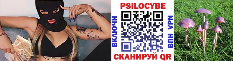 Галлюциногенные грибы GOLDEN TEACHER  Николаевск-на-Амуре 
